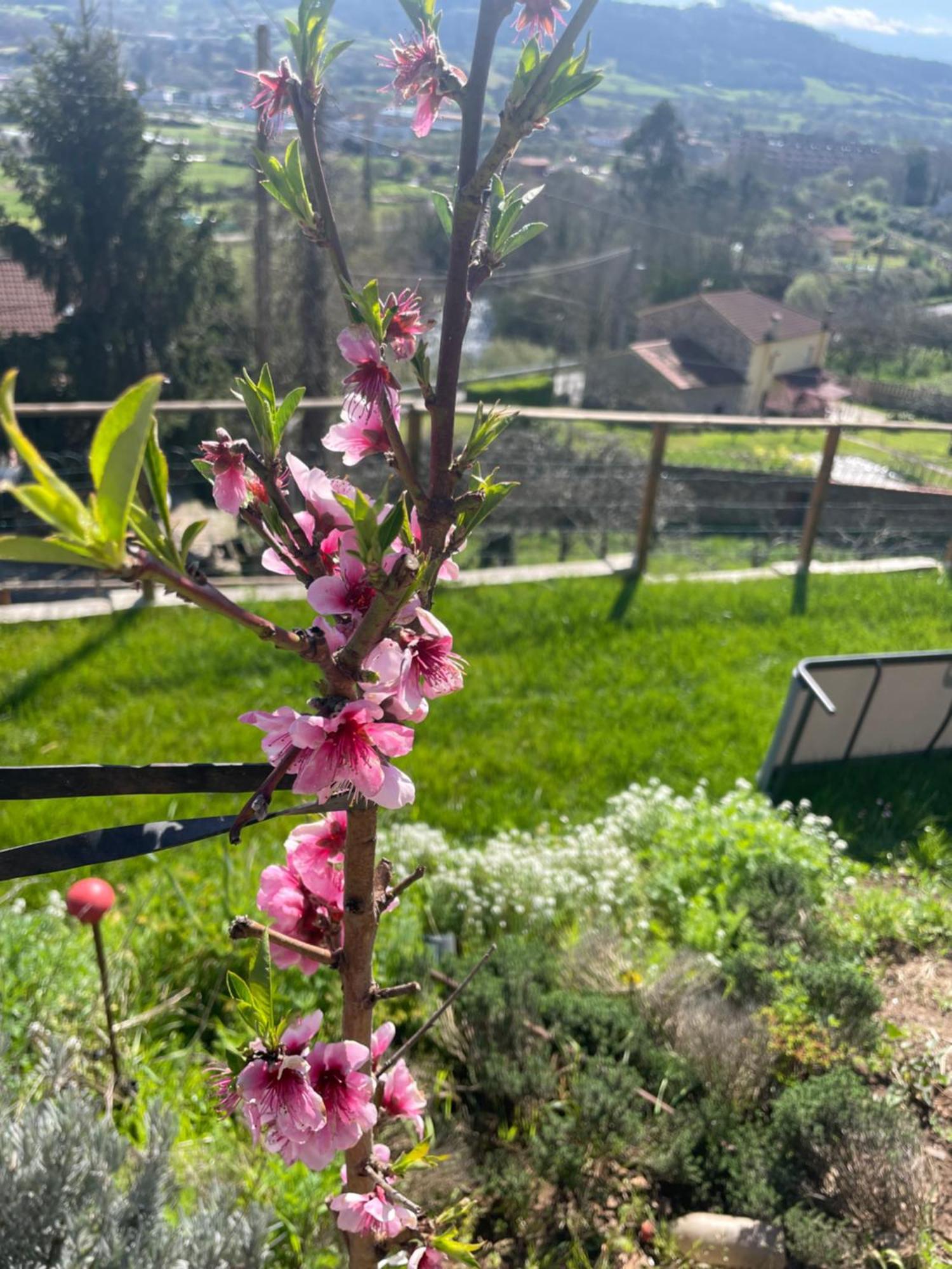 Vistalegre78 Villa Grado Dış mekan fotoğraf